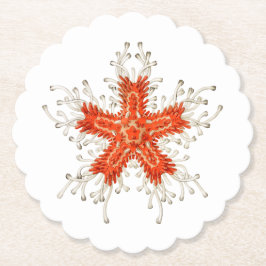 Rödstjärta Underlägg Papper