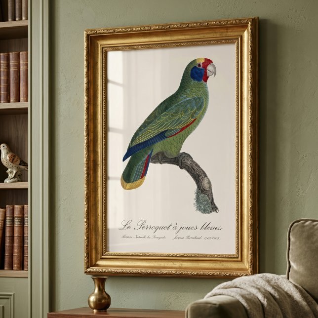 Rödstjärtad amazon, Amazona Brasiliensis Fototryck (Red-Tailed Parrot Amazon, Amazona Brasiliensis. Photo Print)