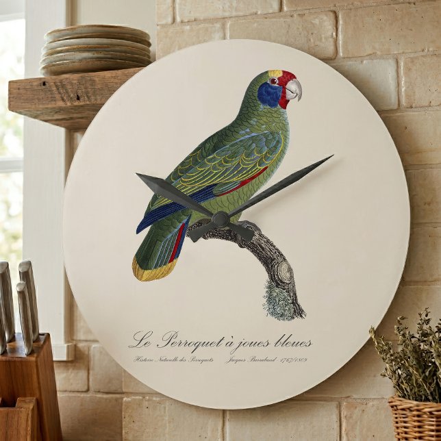 Rödstjärtad amazon, Amazona Brasiliensis Stor Klocka (Red-Tailed Parrot Amazon, Amazona Brasiliensis. Large Clock)