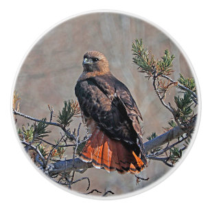 Rödstjärtad Hawk Anpassningsbar Ceramic Knob Knopp