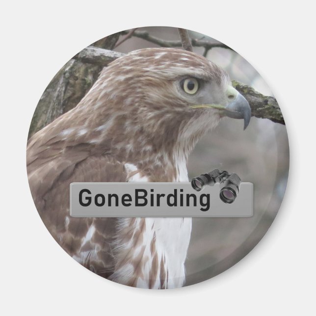 Rödstjärtad Hawk Birding Magnet (Framsidan)