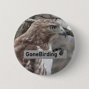 Rödstjärtad Hawk Birding Magnet Knapp