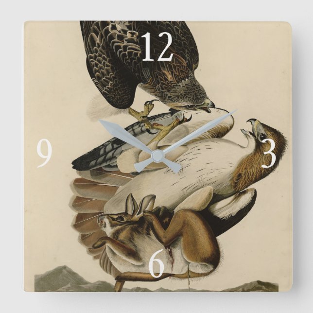 Rödstjärtad Hawk från Audubon's Birds of America Fyrkantig Klocka (Framsida)