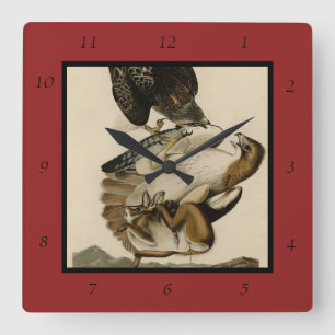 Rödstjärtad Hawk från Audubon's Birds of America Fyrkantig Klocka