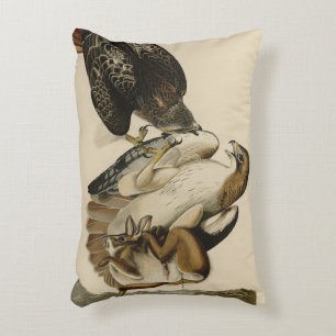 Rödstjärtad Hawk från Audubon's Birds of America Prydnadskudde