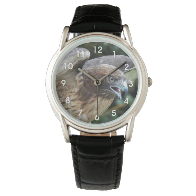 Rödstjärtad Hawk Raptor Photo Armbandsur (Framsida)