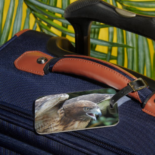 Rödstjärtad Hawk Raptor Photo Bagagebricka