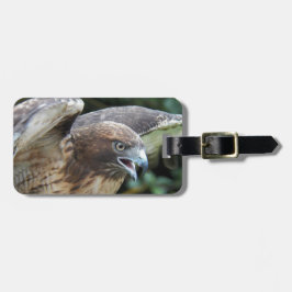 Rödstjärtad Hawk Raptor Photo Bagagebricka