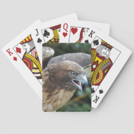 Rödstjärtad Hawk Raptor Photo Spel Kort