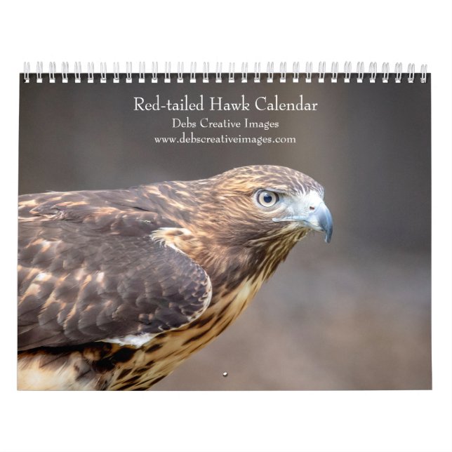 Rödstjärtad Hawks 2026 Kalender (Omslag)