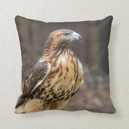 Rödstjärtad hök i Hudsondalen Kudde