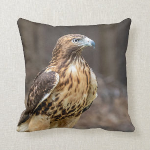 Rödstjärtad hök i Hudsondalen Kudde