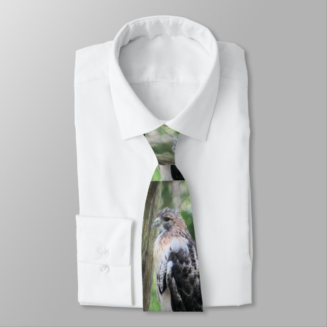 Rödstjärtad hök slips (Bunden)