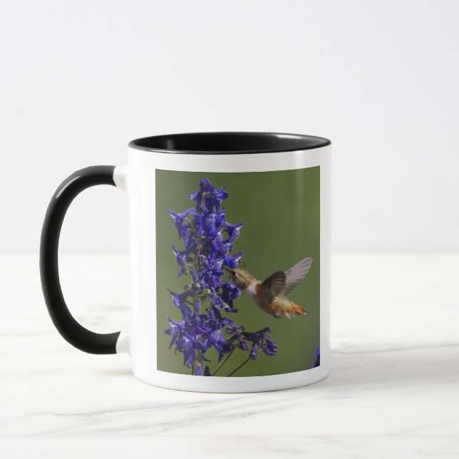 Rödstjärtad kolibri mugg (Vänster)