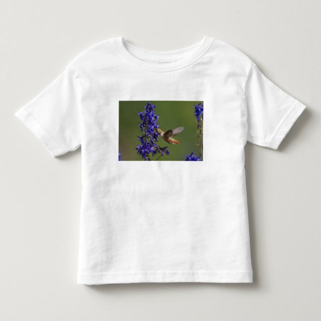 Rödstjärtad kolibri t shirt (Framsida)