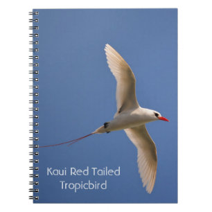 Rödstjärtad tropikfågel Kauai min fotografering Anteckningsbok
