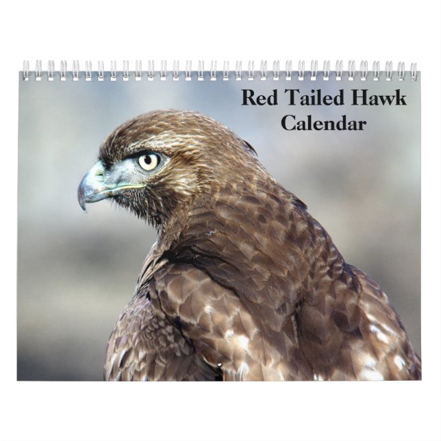 Rödstjärtad vråk 2027 kalender (Omslag)