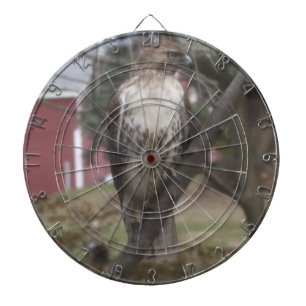 Rödstjärtad vråk Dart Board Piltavla