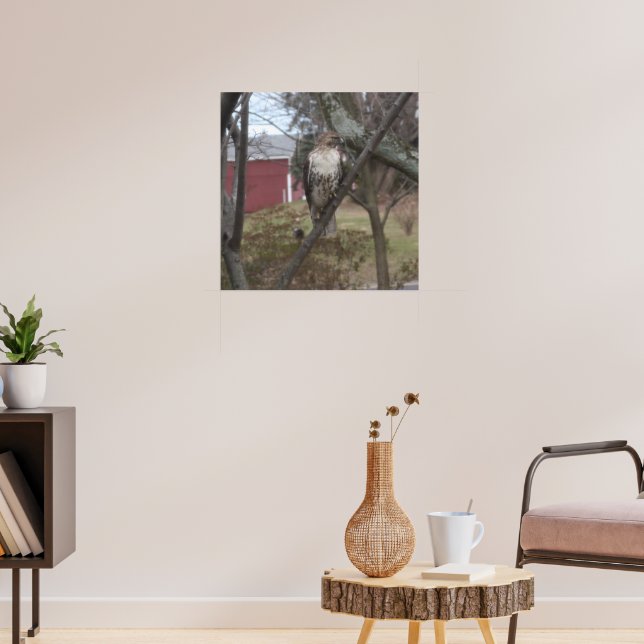 Rödstjärtad vråk i träd poster (Vardagsrum 3)