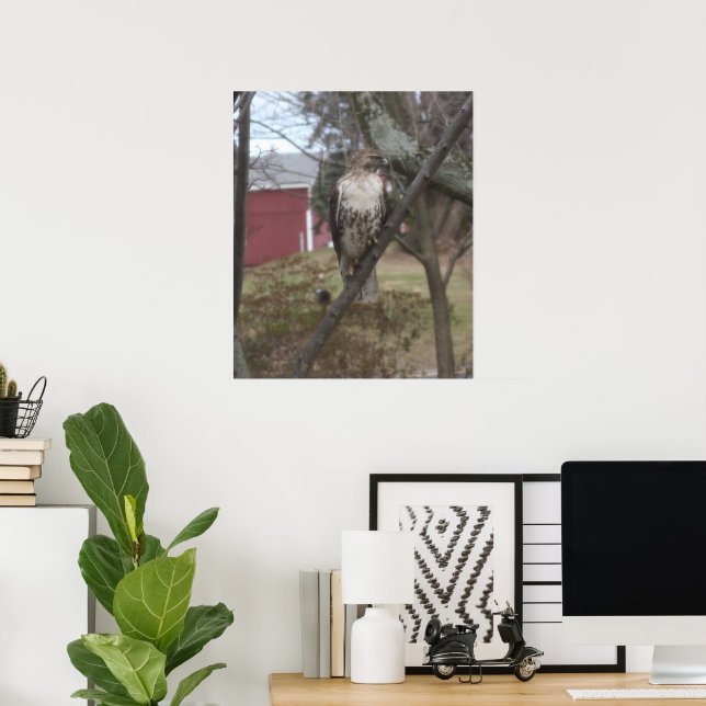 Rödstjärtad vråk i träd poster (Hemmakontoret)