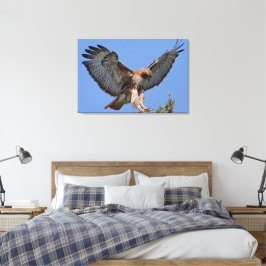 Rödstjärtad vråk Mjuk Landning Stretch Canvas Prin