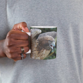 Rödstjärtad vråk rovfågel foto mugg