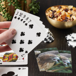 Rödstjärtad vråk rovfågel foto spel kort