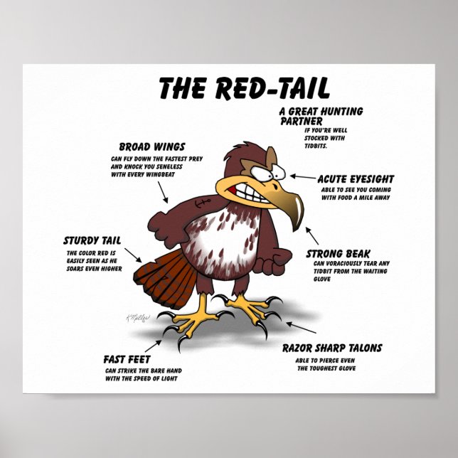 Rödstjärtshök-karikatyr Poster (Framsidan)