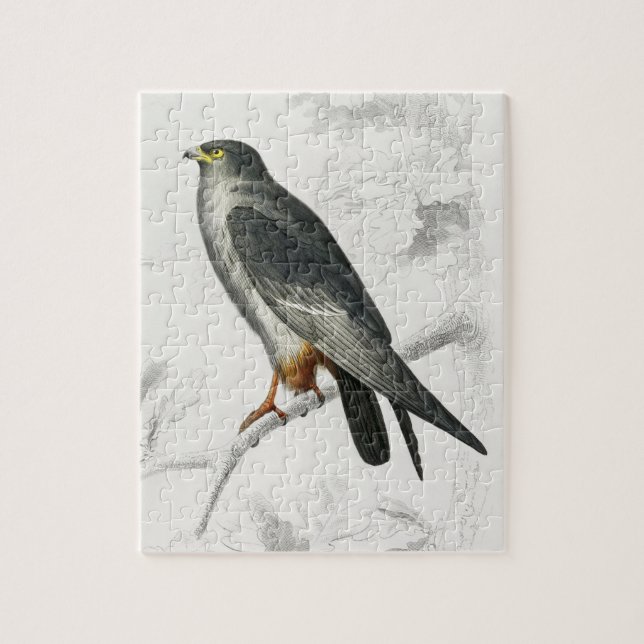 Rödstött falkillustration Vintage konsttryck Pussel (Vertikal)