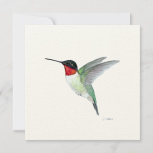 Rödstrumpad Hummingbird under flygning Tack Kort