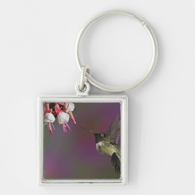Rödstrupig kolibri, hane fyrkantig silverfärgad nyckelring (Framsidan)