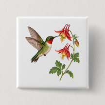 Rödstrupig kolibri i en blomsterträdgård