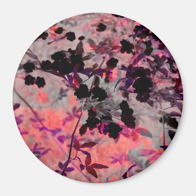 Rödsvart blomma mönster är grafik magnet (Framsidan)