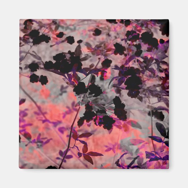 Rödsvart blomma mönster är grafik magnet (Framsidan)