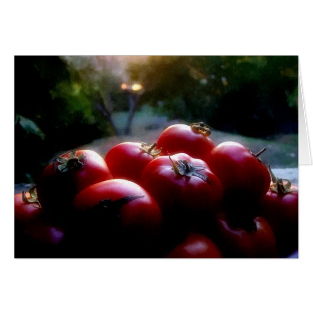 rödtomater hälsningskort (Framsidan Horizontal)