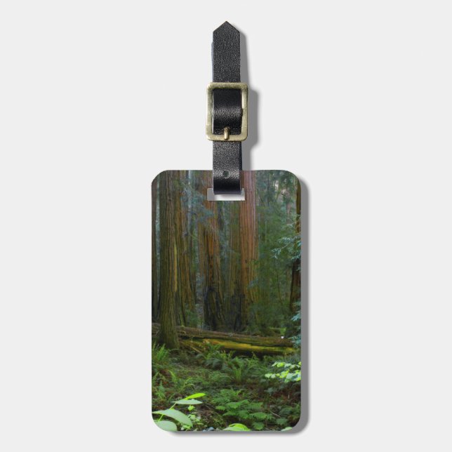 Rödträd i Muir Woods National Park Bagagebricka (Vertikal Framsida)