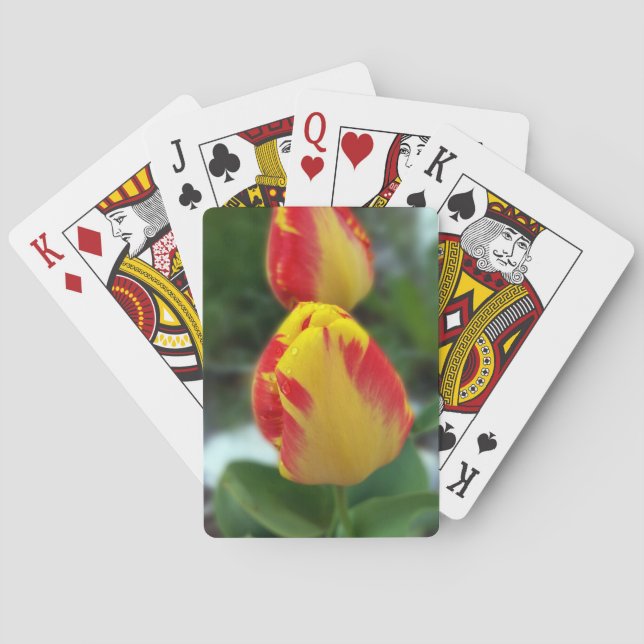 Rödtulpaner av gult casinokort (Baksidan)