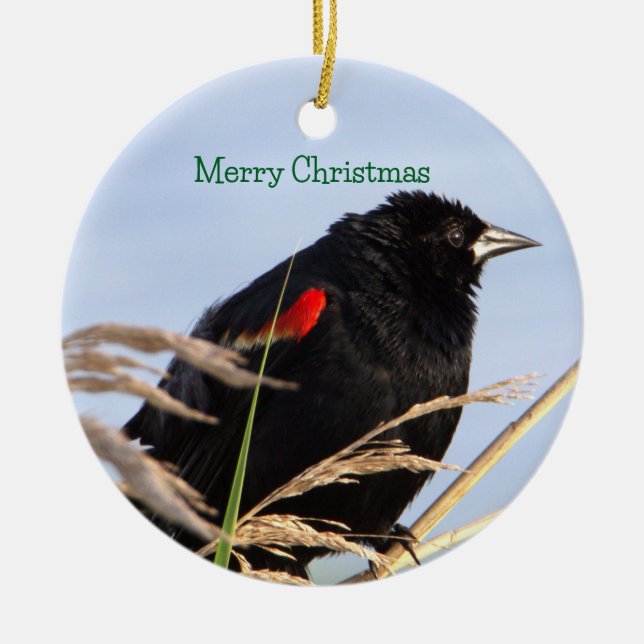 Rödvingad bläckfisk Ornament (Framsidan)