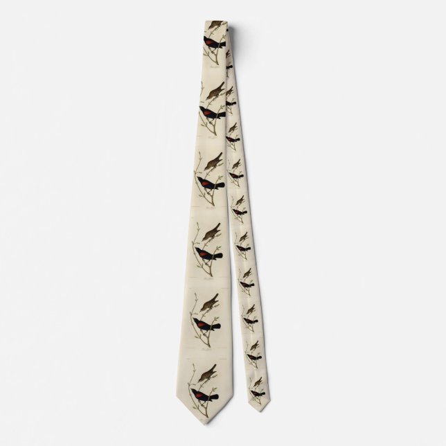 Rödvingad svart fågel - Audubon's Birds of America Slips (Framsida)