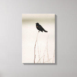 Rödvingad svart fågel på Gren Canvastryck