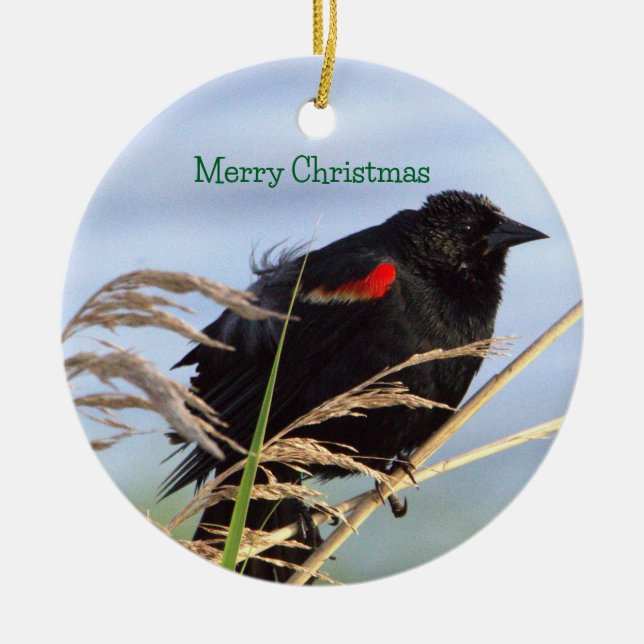 Rödvingad Trast-ornament  Julgransprydnad Keramik (Framsidan)