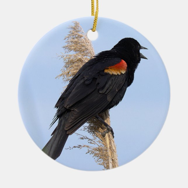 Rödvingad Trast-ornament  Julgransprydnad Keramik (Framsidan)