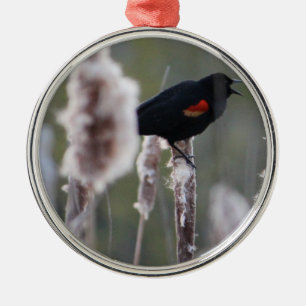 Rödvingetrupial  (Agelaius phoeniceus) Julgransprydnad Metall
