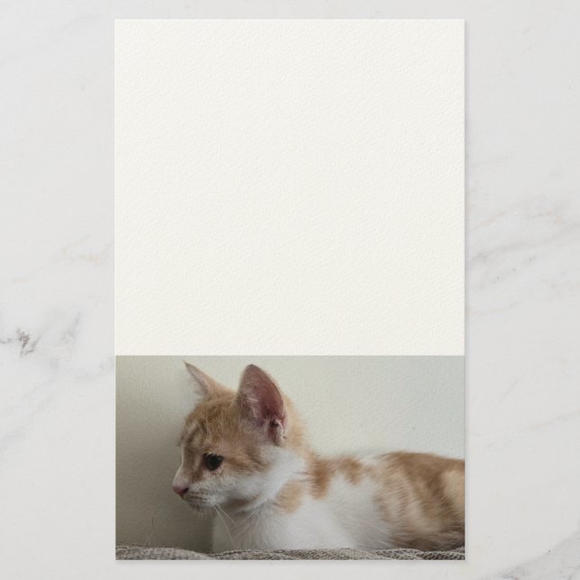 Rödvit kattunge brevpapper (Framsida)