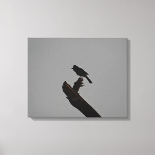 Rödvred bulbul i Silhouette-Snyggt Fotografi Canvastryck