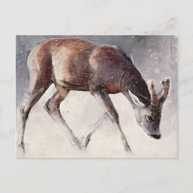 Roe Buck Winter 2000 Vykort (Framsida)