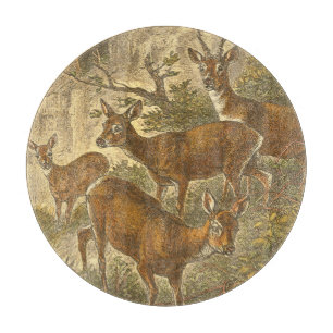 Roe-familjen - anbud i en skog