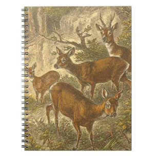 Roe-familjen - anbud i en skog anteckningsbok