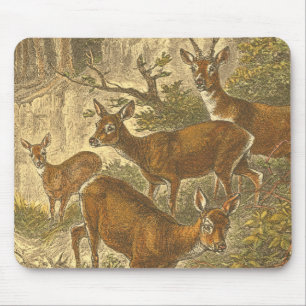 Roe-familjen - anbud i en skog musmatta