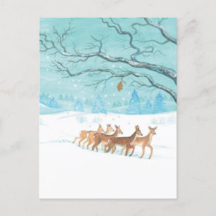 Roe Hjort Winter Vykort